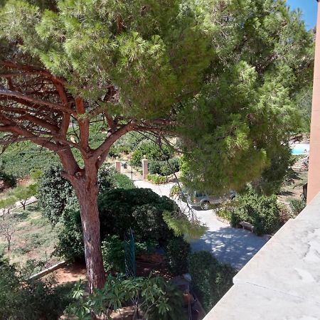 Villa Paladino Solunto Santa Flavia Eksteriør bilde